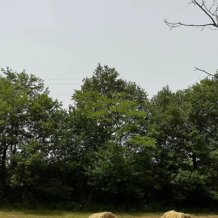 Rustic Italian House Vakantiehuis Roccamorice