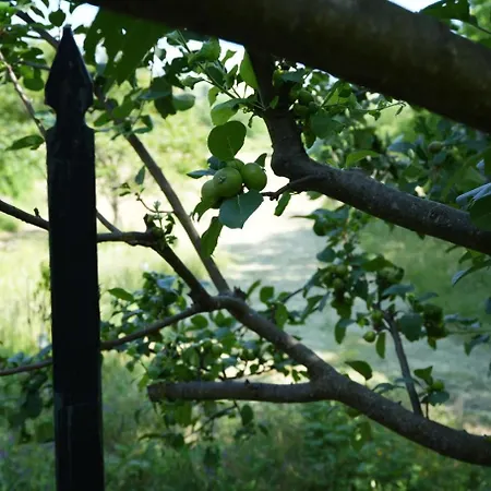 Rustic Italian House *