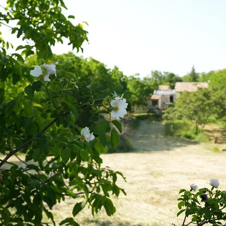 Rustic Italian House Roccamorice