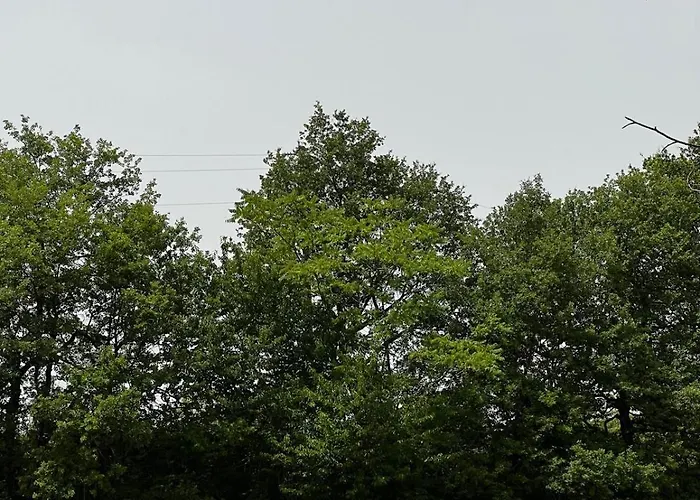 Rustic Italian House Holiday home Roccamorice