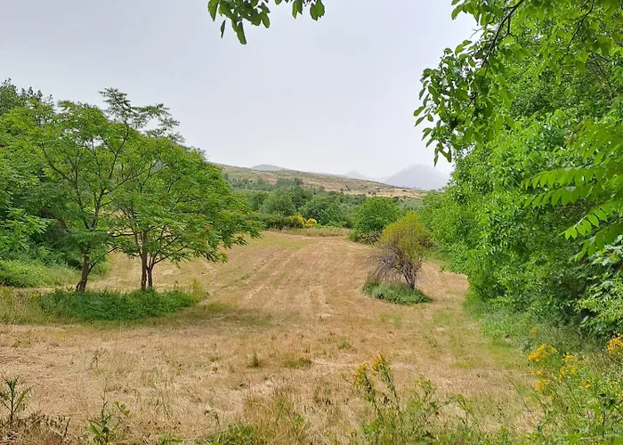 Casa vacanze Rustic Italian House