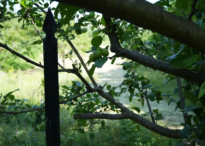 Rustic Italian House *