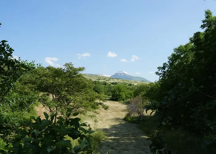 Casa vacanze Rustic Italian House *