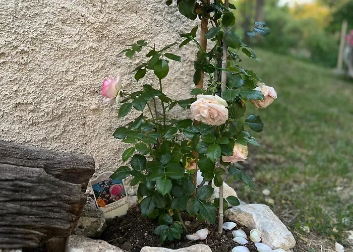 Rustic Italian House Casa vacanze *